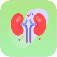 دسته بندی کلیه